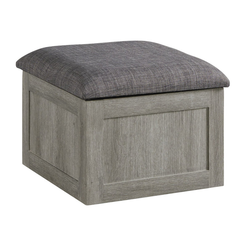 Laurel Foundry Modern Farmhouse® Jolliff Lift Top Coffee Table with ...